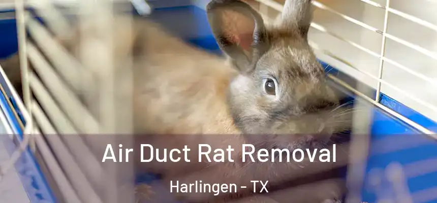  Air Duct Rat Removal Harlingen - TX