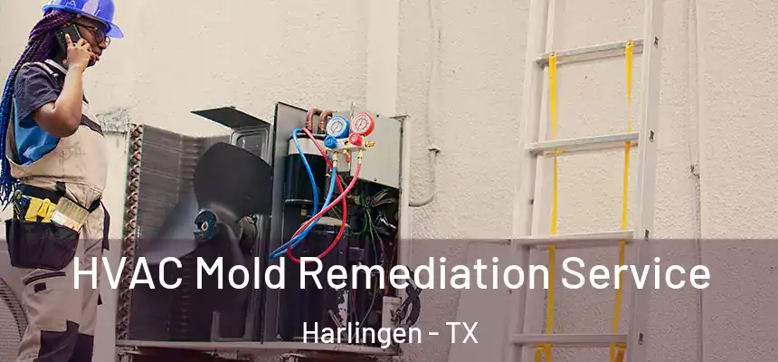 HVAC Mold Remediation Service Harlingen - TX