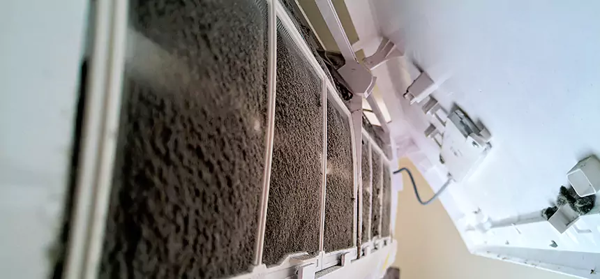 Preventive Air Duct Bacteria Removal in Harlingen