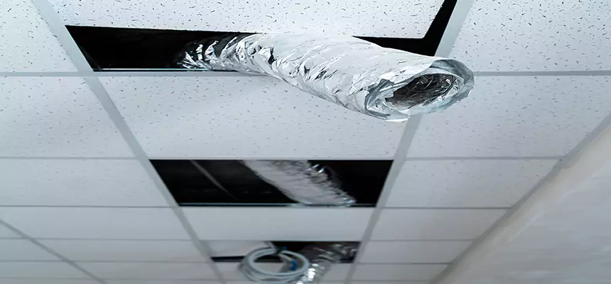 Affordable HVAC Sanitizing After Pest Removal in Harlingen