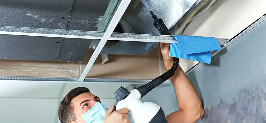 Our Air Duct Rodent Removal Services in Harlingen, TX