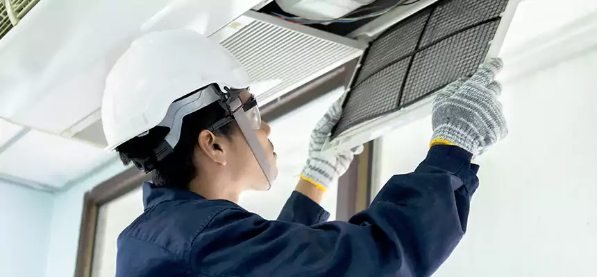 Our Mold & Mildew Removal from Air Ducts Services in Harlingen, TX