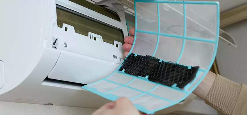 Gentle Ductwork Odor-Control Pet Dander Duct Cleaning in Harlingen, TX