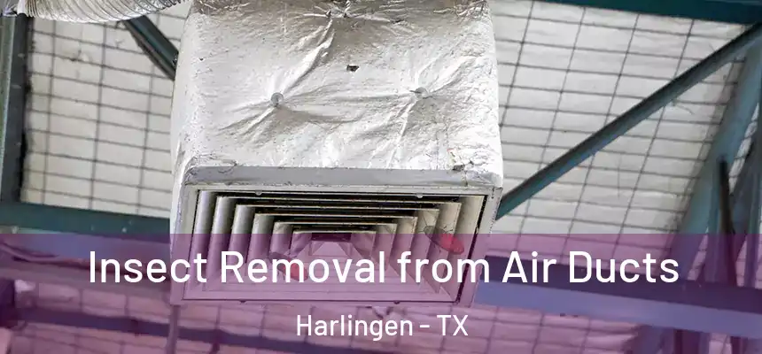  Insect Removal from Air Ducts Harlingen - TX