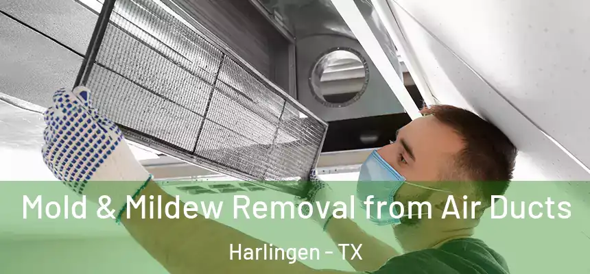  Mold & Mildew Removal from Air Ducts Harlingen - TX
