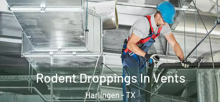  Rodent Droppings In Vents Harlingen - TX