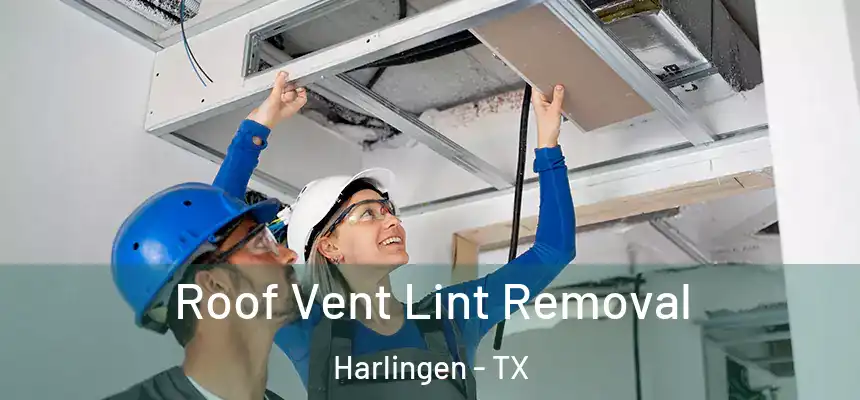  Roof Vent Lint Removal Harlingen - TX