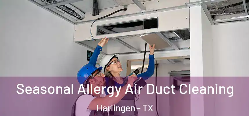  Seasonal Allergy Air Duct Cleaning Harlingen - TX