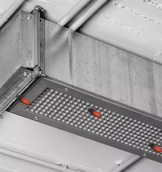 About Air Duct Cockroach Removal in Harlingen, TX