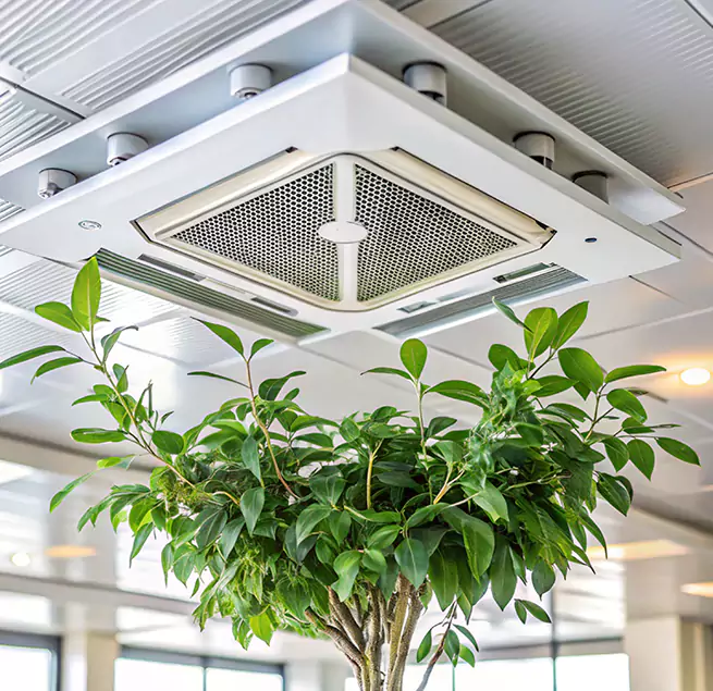 Why Homeowners & Businesses Trust Us in Harlingen, TX?