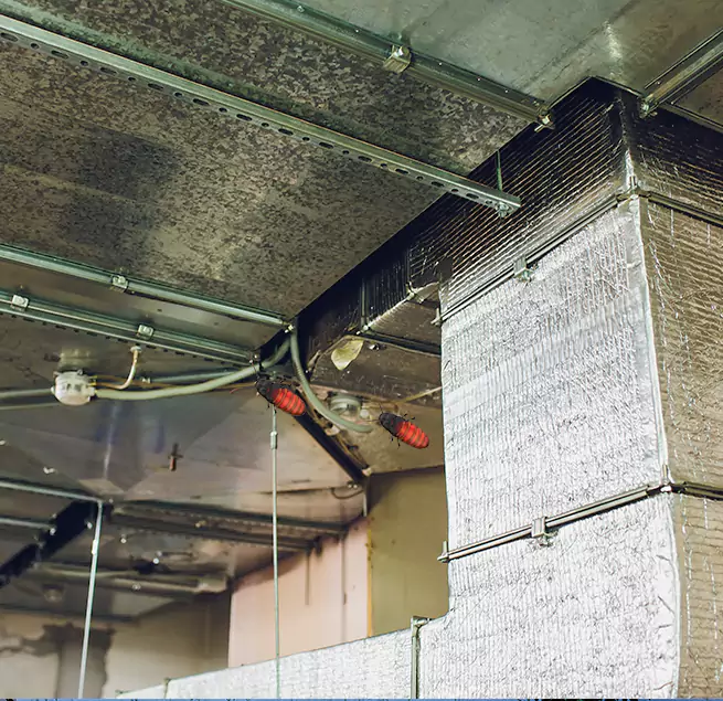 Why Homeowners & Businesses Trust Us Harlingen, TX?